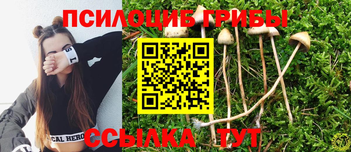 Псилоцибиновые грибы прущие грибы  Вход с VPN  цена   Ликино-Дулёво 